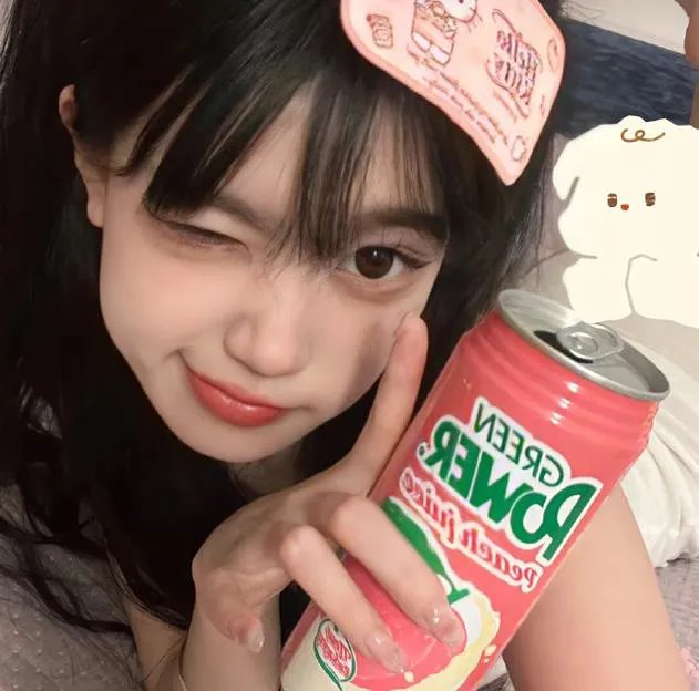 犯罪生涯
